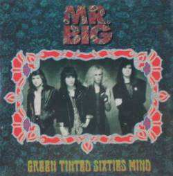 Mr. Big : Green Tinted Sixties Mind - Shadows